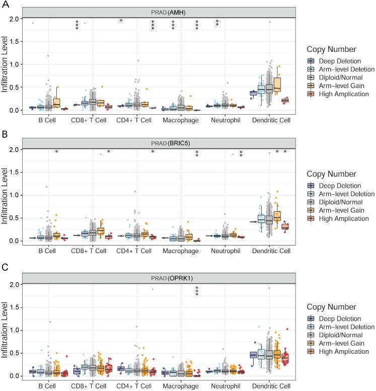 https://cdn.ncbi.nlm.nih.gov/pmc/blobs/5143/8606726/a9bc4748979e/10.1177_15330338211052154-fig5.jpg