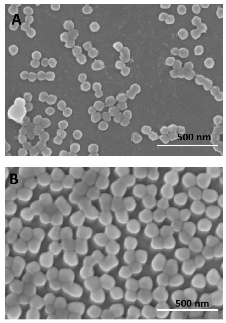 https://cdn.ncbi.nlm.nih.gov/pmc/blobs/5145/10381601/6c3111581bcf/jfb-14-00346-g002.jpg
