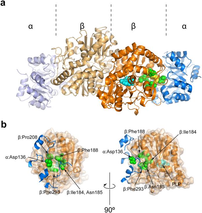 https://cdn.ncbi.nlm.nih.gov/pmc/blobs/5145/5573416/262c49369742/41598_2017_9642_Fig8_HTML.jpg