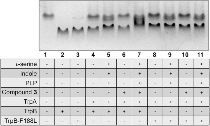 https://cdn.ncbi.nlm.nih.gov/pmc/blobs/5145/5573416/5a31b6b3ce4f/41598_2017_9642_Fig6_HTML.jpg