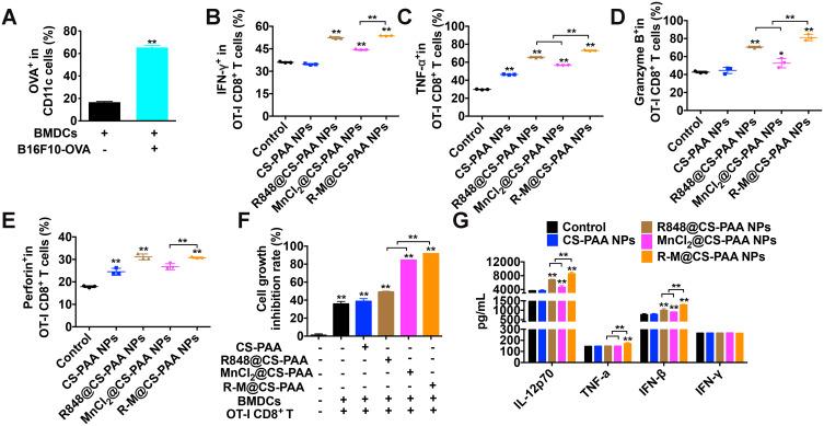 https://cdn.ncbi.nlm.nih.gov/pmc/blobs/5145/8387326/54f7b2fd4f6e/IJN-16-5675-g0009.jpg