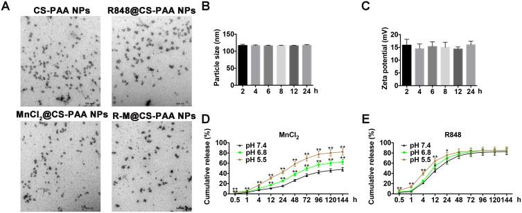 https://cdn.ncbi.nlm.nih.gov/pmc/blobs/5145/8387326/59ff7d68b5c2/IJN-16-5675-g0001.jpg