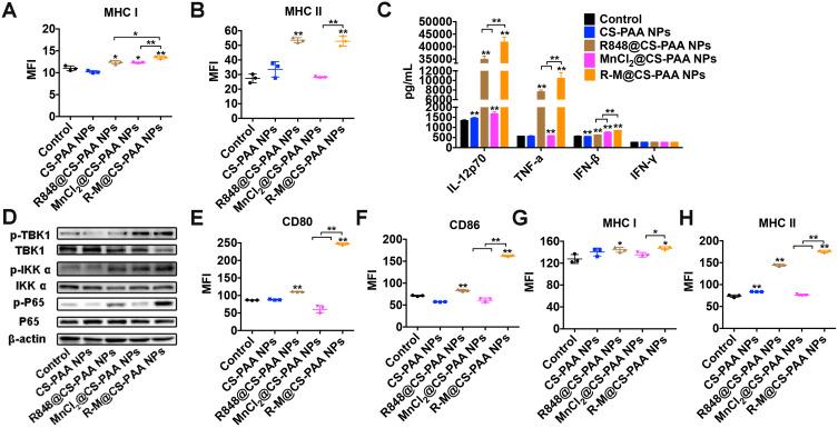 https://cdn.ncbi.nlm.nih.gov/pmc/blobs/5145/8387326/fed18528aa65/IJN-16-5675-g0008.jpg