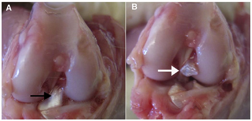 https://cdn.ncbi.nlm.nih.gov/pmc/blobs/5146/9365239/056d5c5db680/nihms-1744583-f0003.jpg