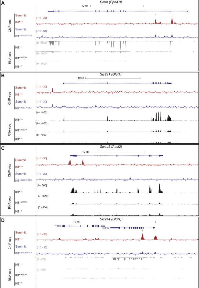 https://cdn.ncbi.nlm.nih.gov/pmc/blobs/5147/11327367/a89d261a95f5/41467_2024_50579_Fig5_HTML.jpg