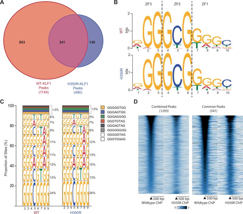 https://cdn.ncbi.nlm.nih.gov/pmc/blobs/5147/11327367/f2f9c0500b5d/41467_2024_50579_Fig4_HTML.jpg