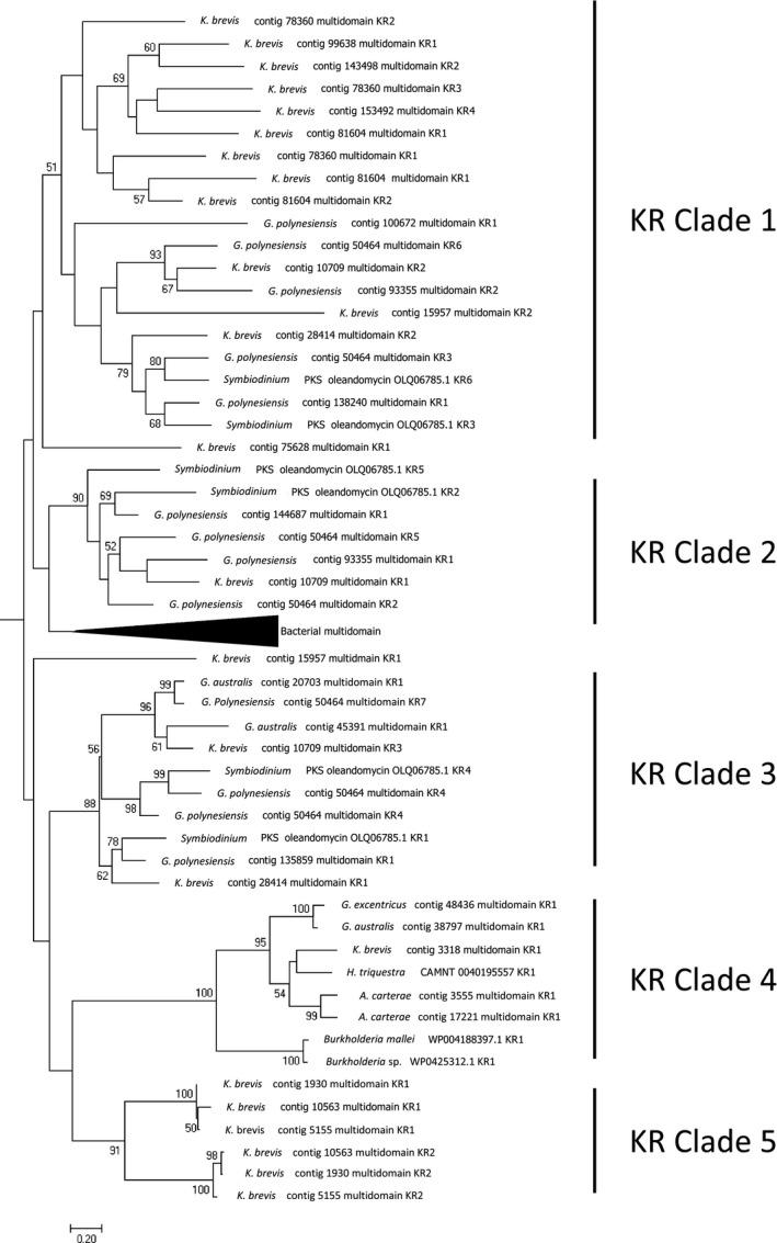 https://cdn.ncbi.nlm.nih.gov/pmc/blobs/5148/5725682/00eadaf606cf/JPY-53-1325-g006.jpg