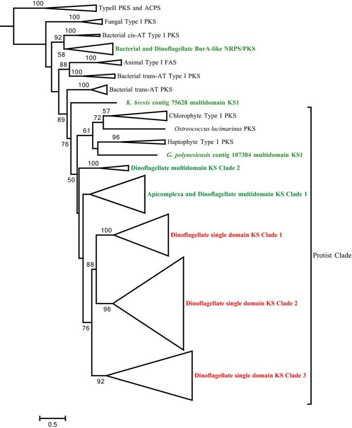 https://cdn.ncbi.nlm.nih.gov/pmc/blobs/5148/5725682/25b3fe799dce/JPY-53-1325-g002.jpg