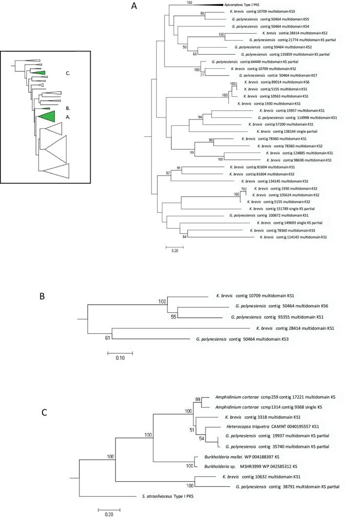 https://cdn.ncbi.nlm.nih.gov/pmc/blobs/5148/5725682/7daf19ec1886/JPY-53-1325-g004.jpg