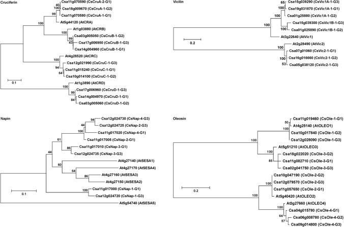 https://cdn.ncbi.nlm.nih.gov/pmc/blobs/5148/9537204/e5989b26739a/425_2022_3998_Fig3_HTML.jpg