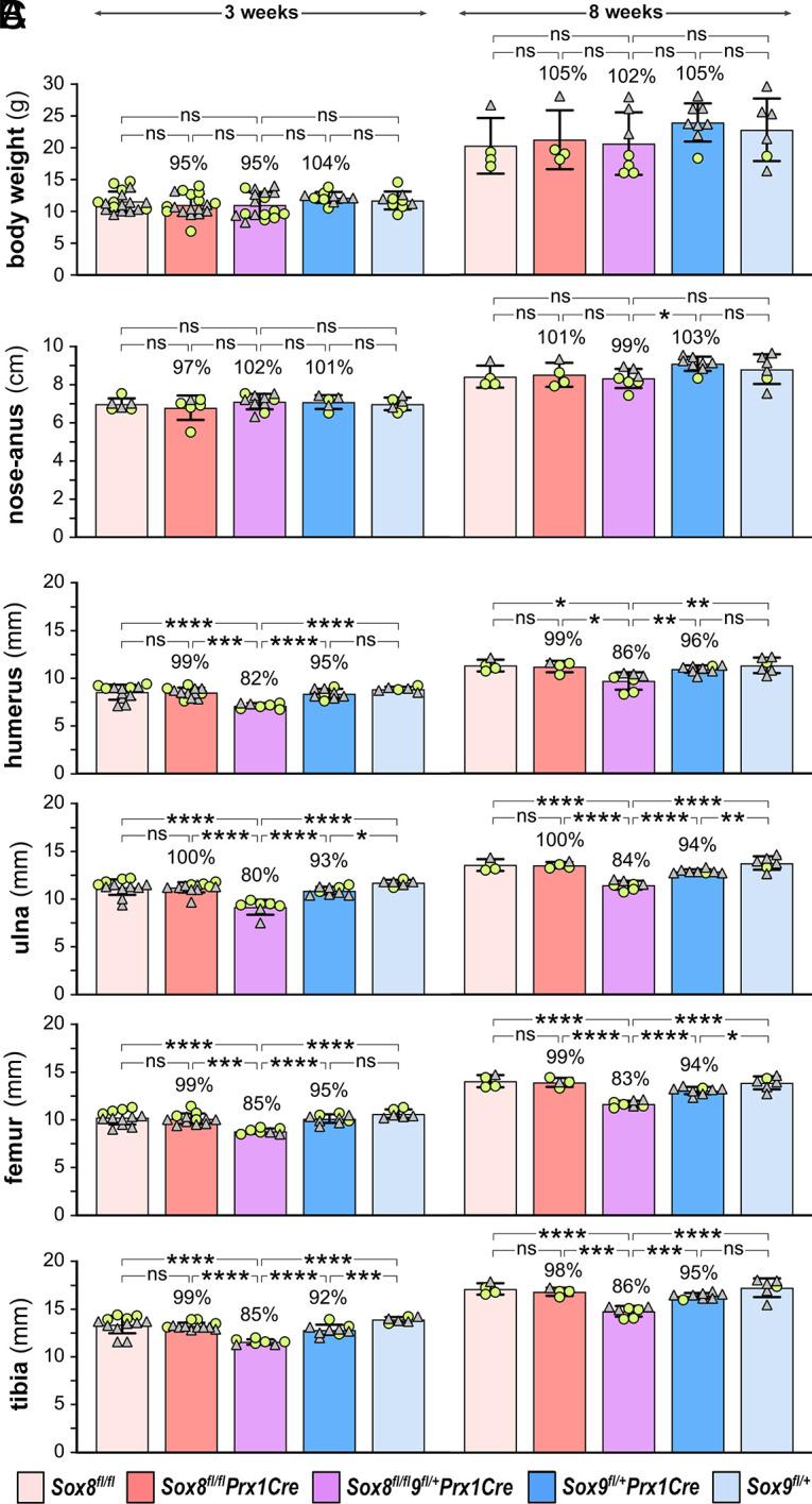 https://cdn.ncbi.nlm.nih.gov/pmc/blobs/514b/10895259/40bea8c324bd/pnas.2316969121fig02.jpg