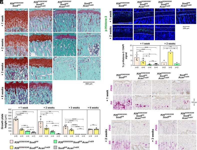 https://cdn.ncbi.nlm.nih.gov/pmc/blobs/514b/10895259/c667d1d3c3f8/pnas.2316969121fig05.jpg