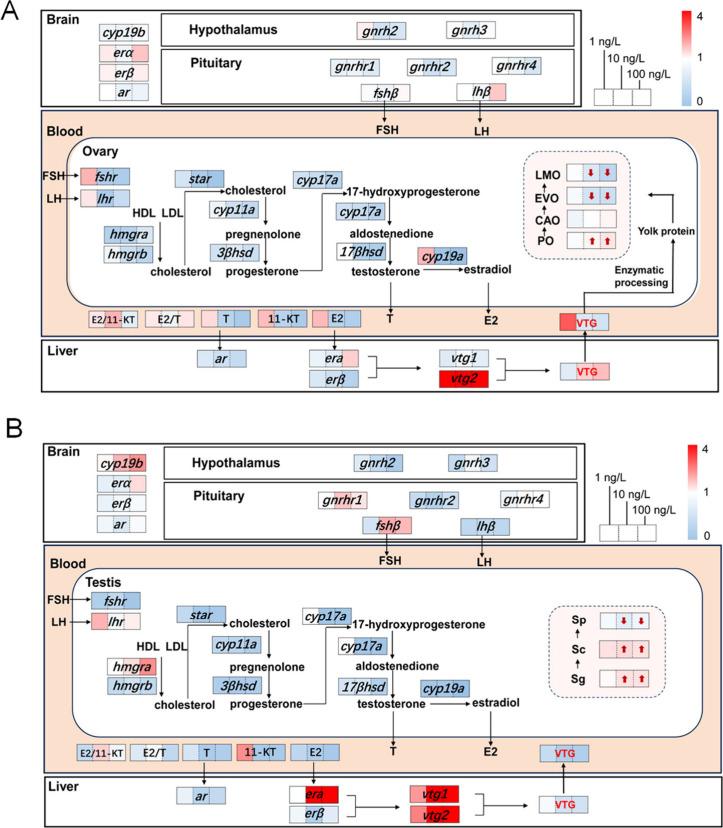 https://cdn.ncbi.nlm.nih.gov/pmc/blobs/514c/12012661/b1762c801e57/eh4c00235_0002.jpg