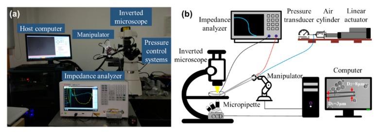 https://cdn.ncbi.nlm.nih.gov/pmc/blobs/514e/7143764/18570b59e74d/micromachines-11-00249-g001.jpg