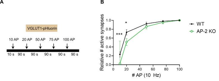 https://cdn.ncbi.nlm.nih.gov/pmc/blobs/514f/8752090/67c11daf39aa/elife-71198-fig4-figsupp1.jpg
