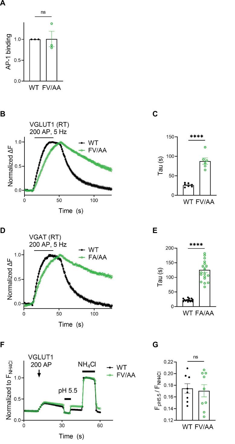 https://cdn.ncbi.nlm.nih.gov/pmc/blobs/514f/8752090/74d8cbac9e8a/elife-71198-fig8-figsupp1.jpg
