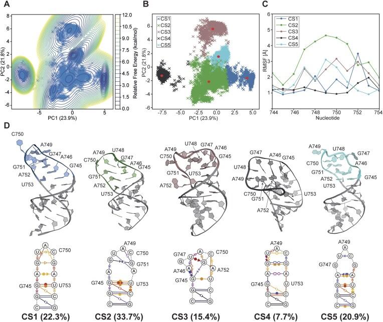 https://cdn.ncbi.nlm.nih.gov/pmc/blobs/5152/12207407/ca4f518ca37f/gkaf552fig7.jpg