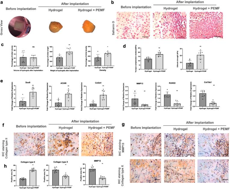 https://cdn.ncbi.nlm.nih.gov/pmc/blobs/5153/9576572/726cc449a428/gr4.jpg