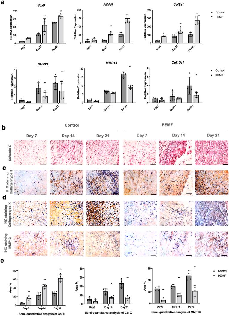 https://cdn.ncbi.nlm.nih.gov/pmc/blobs/5153/9576572/a30719d891ca/gr3.jpg