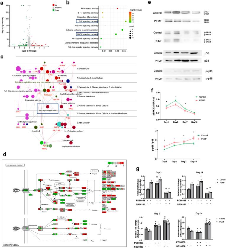 https://cdn.ncbi.nlm.nih.gov/pmc/blobs/5153/9576572/a4258e951ba3/gr5.jpg