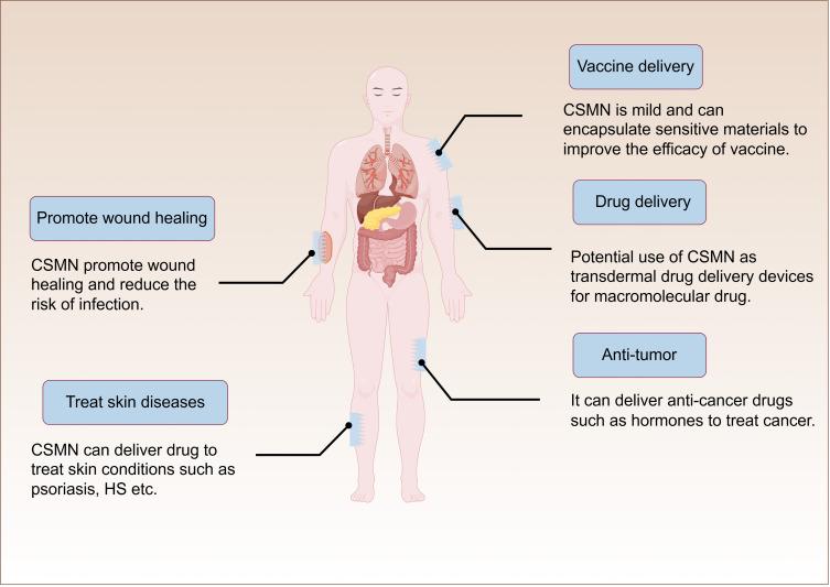 https://cdn.ncbi.nlm.nih.gov/pmc/blobs/5155/11624690/edb581728936/IJN-19-12957-g0004.jpg
