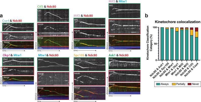 https://cdn.ncbi.nlm.nih.gov/pmc/blobs/5155/9259035/1bb398021026/elife-78450-fig2.jpg