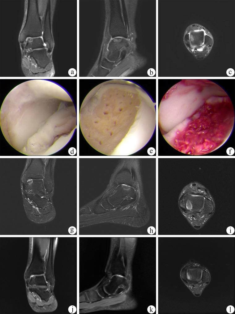 https://cdn.ncbi.nlm.nih.gov/pmc/blobs/5157/11740515/a1e4ad73995c/13018_2025_5468_Fig1_HTML.jpg