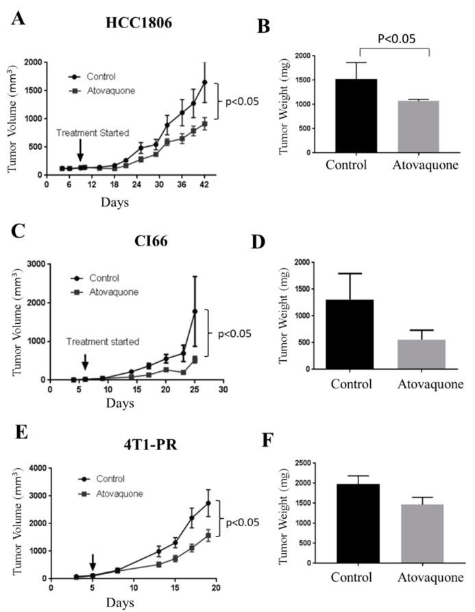 https://cdn.ncbi.nlm.nih.gov/pmc/blobs/5159/8152242/606c67a1e628/ijms-22-05150-g001.jpg
