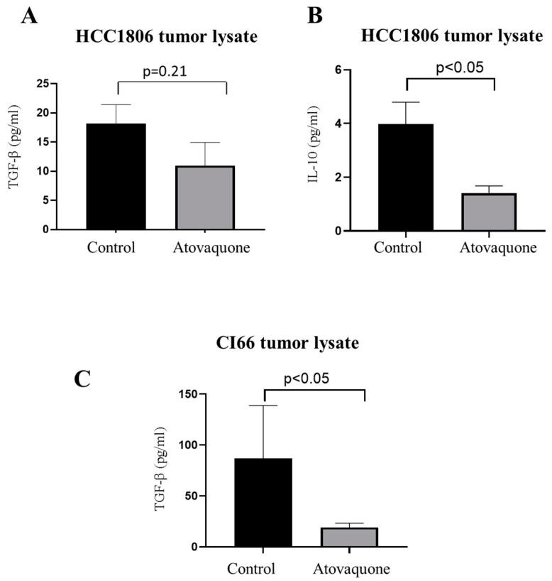 https://cdn.ncbi.nlm.nih.gov/pmc/blobs/5159/8152242/ecfdcf83faa9/ijms-22-05150-g004.jpg