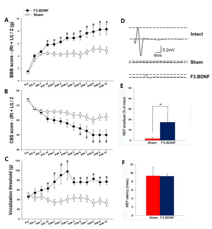 https://cdn.ncbi.nlm.nih.gov/pmc/blobs/5159/8269438/35d228bc69d8/ijms-22-06970-g006.jpg