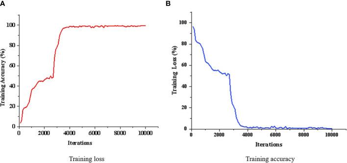https://cdn.ncbi.nlm.nih.gov/pmc/blobs/5159/9909533/092050422a98/fpls-13-929999-g006.jpg