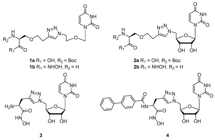 https://cdn.ncbi.nlm.nih.gov/pmc/blobs/515b/6151744/31ec01e8dba5/molecules-22-01682-g002.jpg