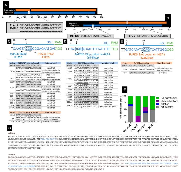 https://cdn.ncbi.nlm.nih.gov/pmc/blobs/515b/7795782/0bc37fc2d90f/ijms-22-00319-g003.jpg
