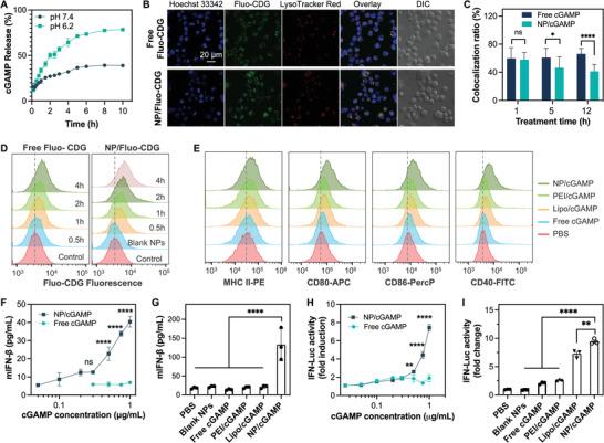 https://cdn.ncbi.nlm.nih.gov/pmc/blobs/515d/9376841/45b626e53303/ADVS-9-2201895-g003.jpg
