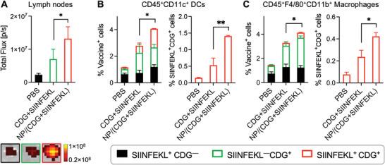 https://cdn.ncbi.nlm.nih.gov/pmc/blobs/515d/9376841/5cfd8d4a612c/ADVS-9-2201895-g007.jpg