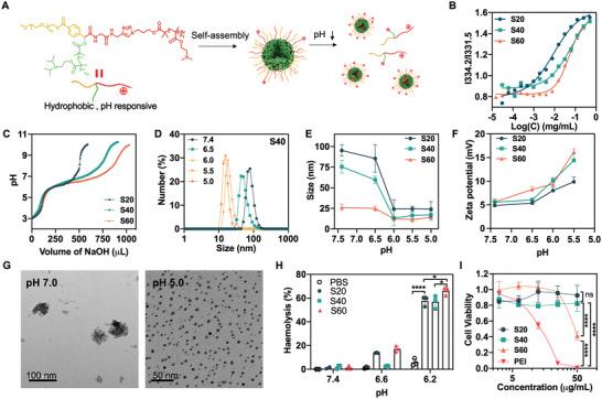 https://cdn.ncbi.nlm.nih.gov/pmc/blobs/515d/9376841/7f6ad0c1d4b5/ADVS-9-2201895-g005.jpg