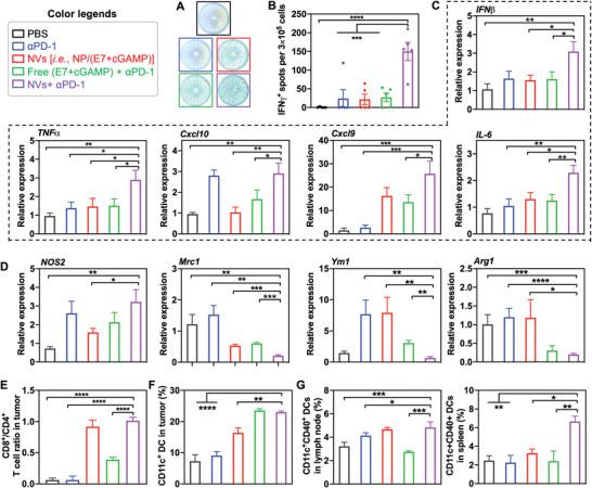 https://cdn.ncbi.nlm.nih.gov/pmc/blobs/515d/9376841/f84d9c8d3c6b/ADVS-9-2201895-g001.jpg
