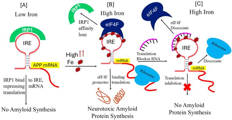 https://cdn.ncbi.nlm.nih.gov/pmc/blobs/515e/11677800/2d79279cf930/pharmaceuticals-17-01669-g007.jpg