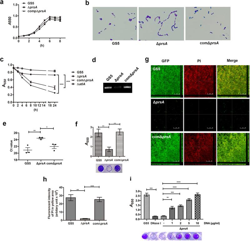 https://cdn.ncbi.nlm.nih.gov/pmc/blobs/515e/9377233/72cf75d4da35/KVIR_A_2105351_F0003_OC.jpg