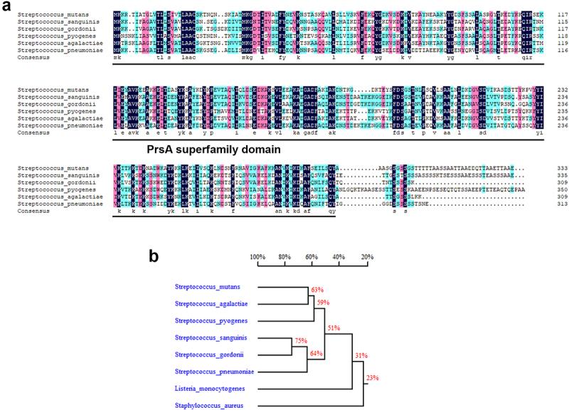 https://cdn.ncbi.nlm.nih.gov/pmc/blobs/515e/9377233/8d2afd3a796b/KVIR_A_2105351_F0001_OC.jpg