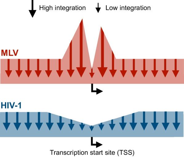 https://cdn.ncbi.nlm.nih.gov/pmc/blobs/5160/9548131/054ff567f70d/12929_2022_865_Fig5_HTML.jpg
