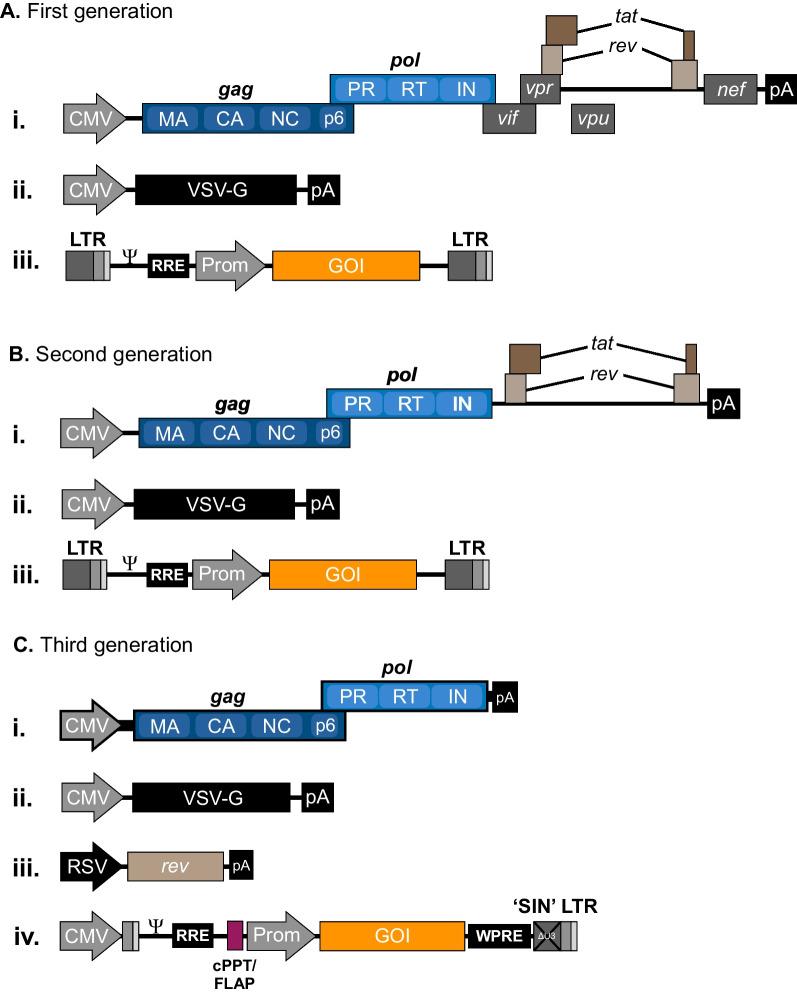 https://cdn.ncbi.nlm.nih.gov/pmc/blobs/5160/9548131/61e7062c1964/12929_2022_865_Fig1_HTML.jpg
