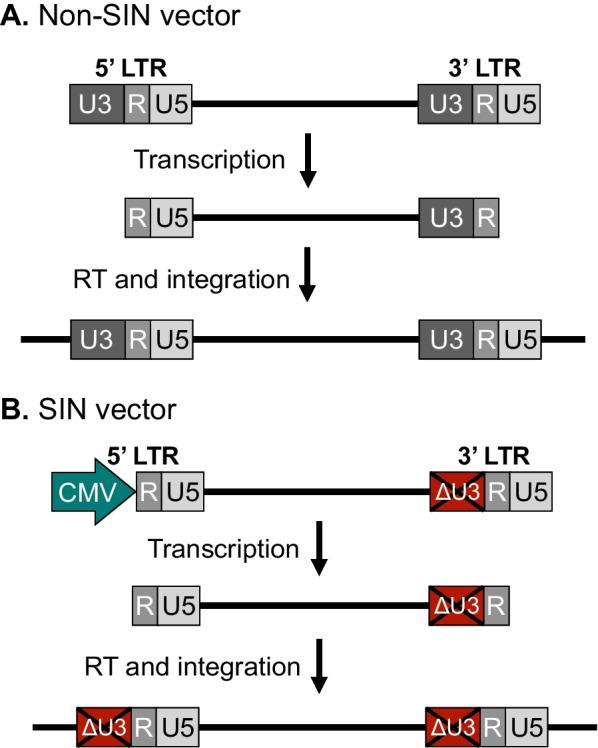 https://cdn.ncbi.nlm.nih.gov/pmc/blobs/5160/9548131/6d016eeba8ea/12929_2022_865_Fig4_HTML.jpg