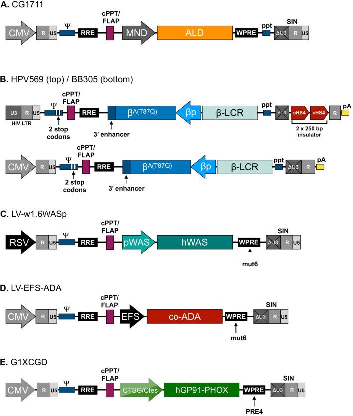 https://cdn.ncbi.nlm.nih.gov/pmc/blobs/5160/9548131/c706afadc715/12929_2022_865_Fig7_HTML.jpg