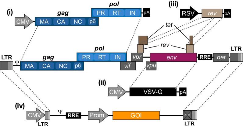 https://cdn.ncbi.nlm.nih.gov/pmc/blobs/5160/9548131/da84bfe021a6/12929_2022_865_Fig2_HTML.jpg