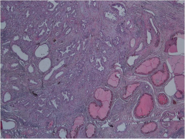 https://cdn.ncbi.nlm.nih.gov/pmc/blobs/5161/7758356/68a9834b81d5/gr2.jpg