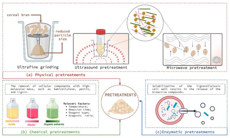 https://cdn.ncbi.nlm.nih.gov/pmc/blobs/5167/9686942/8ddaf74cbecf/antioxidants-11-02159-g003.jpg