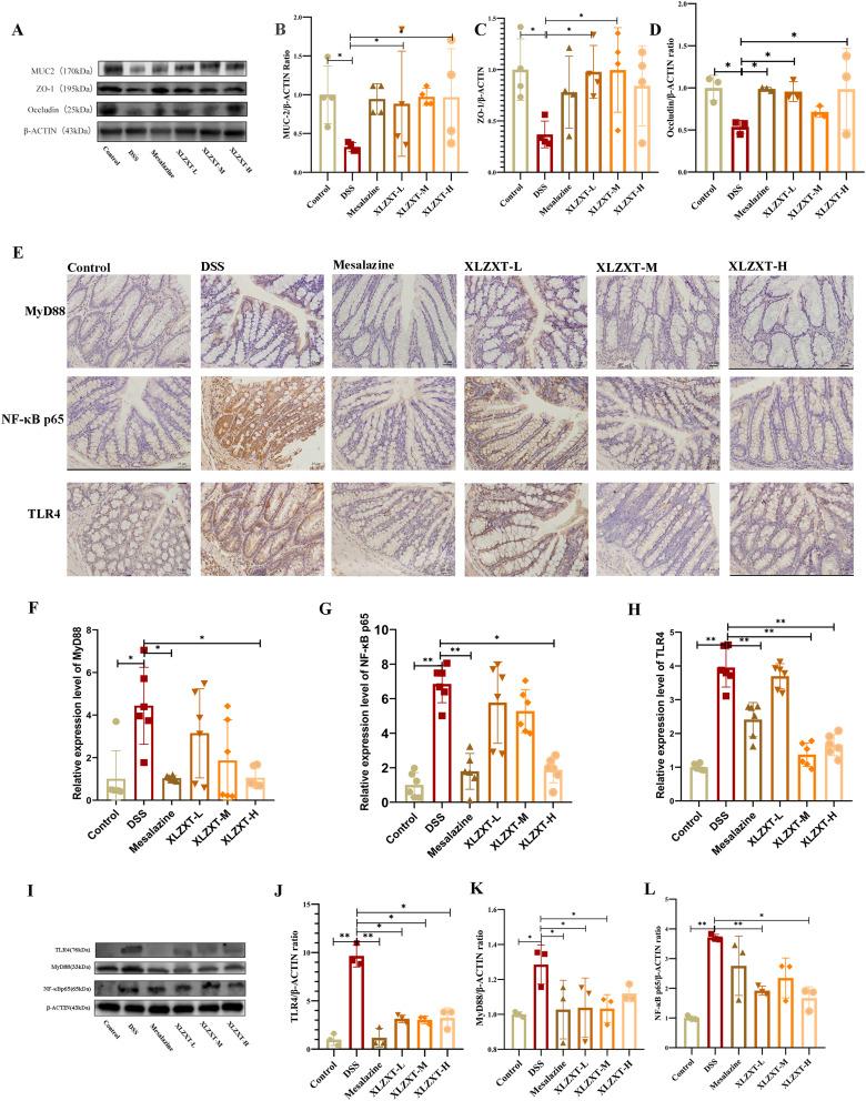 https://cdn.ncbi.nlm.nih.gov/pmc/blobs/5169/10544264/794dae3a9898/JIR-16-4331-g0005.jpg