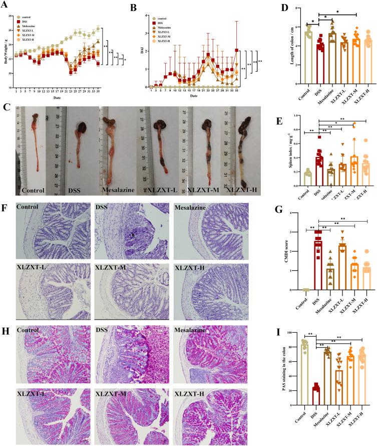 https://cdn.ncbi.nlm.nih.gov/pmc/blobs/5169/10544264/804cc172f263/JIR-16-4331-g0003.jpg