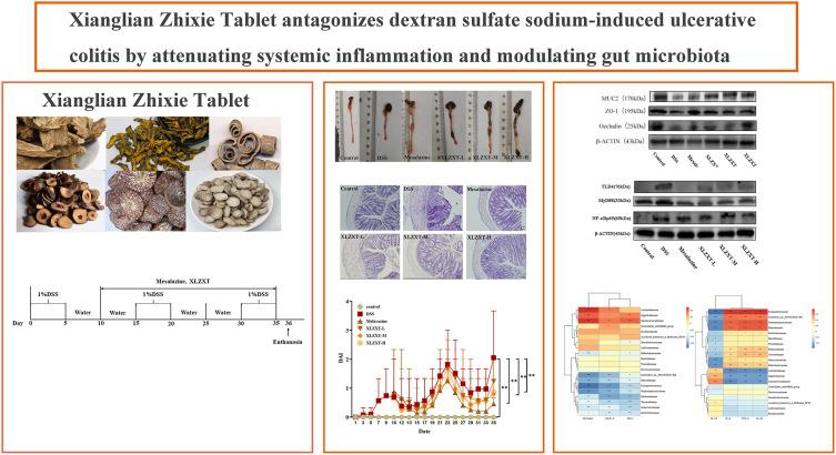 https://cdn.ncbi.nlm.nih.gov/pmc/blobs/5169/10544264/ea14d2ec9d13/JIR-16-4331-g0001.jpg